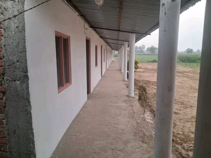 विद्यालयका गतिविधिहरू